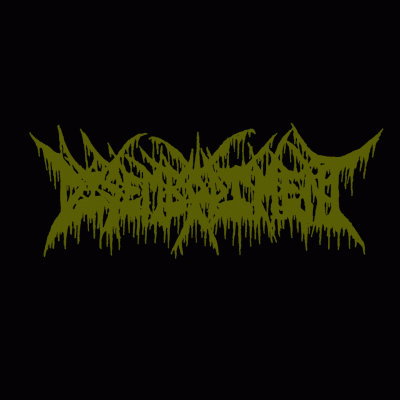 logo Disembodiment (CAN)